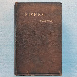 An introduction to the Study of Fishes, by Albert C L G Gunther