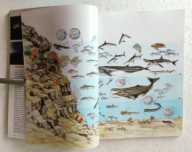 Mediterranean Sea, by Angelo Mojetta - Image 7