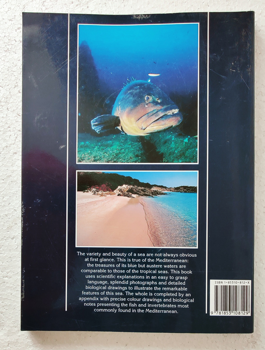 Mediterranean Sea, by Angelo Mojetta - Image 8