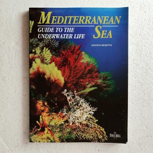 Mediterranean Sea, by Angelo Mojetta