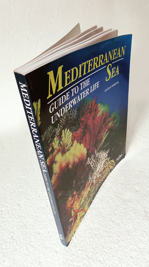 Mediterranean Sea, by Angelo Mojetta - Image 2